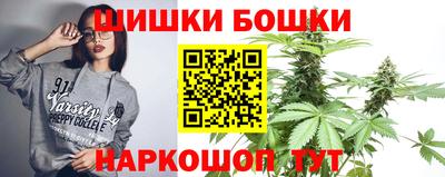сатива Можга