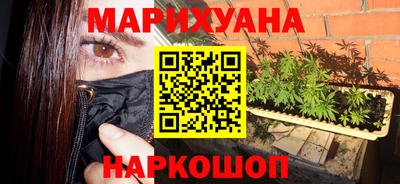 сатива Можга