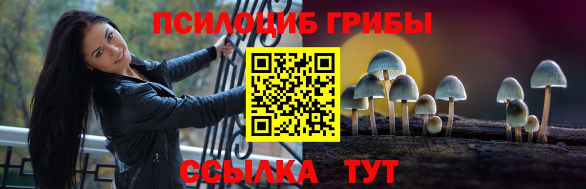 Сургут  Псилоцибиновые грибы Psilocybine cubensis  Вход с VPN 